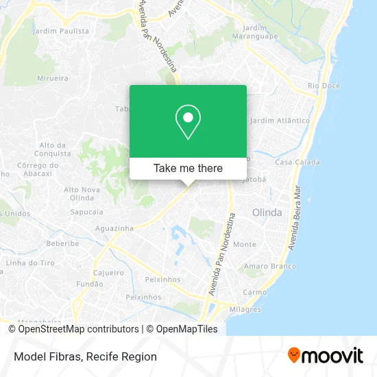 Model Fibras map