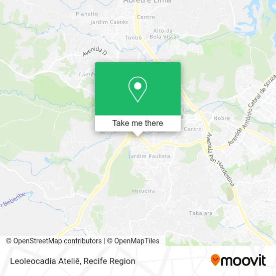 Leoleocadia Ateliê map