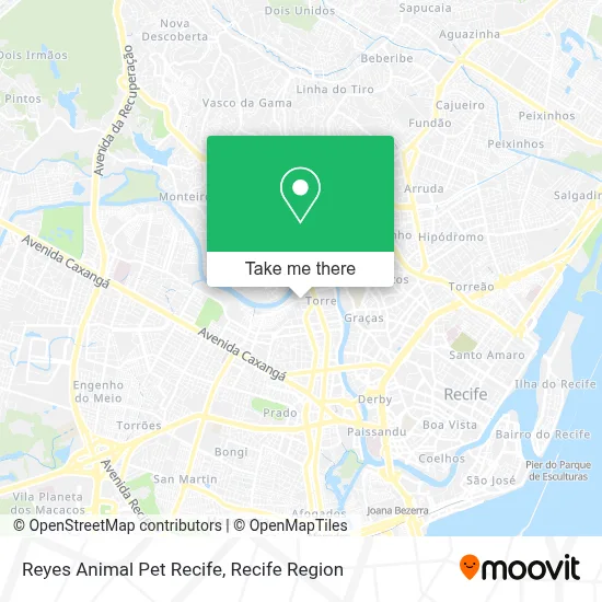 Reyes Animal Pet Recife map