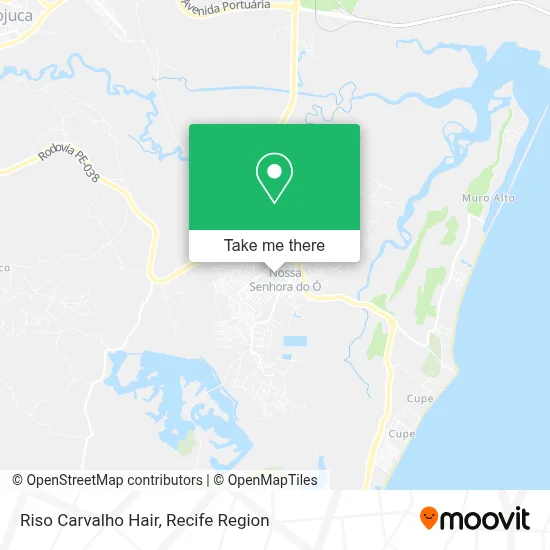 Riso Carvalho Hair map