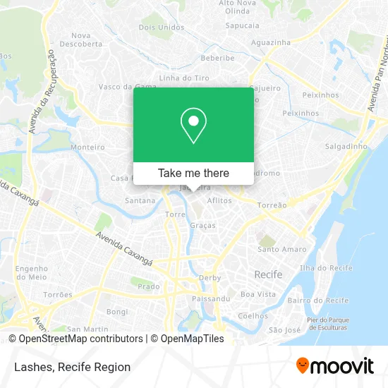 Lashes map
