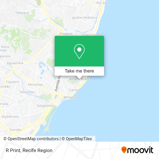 R Print map
