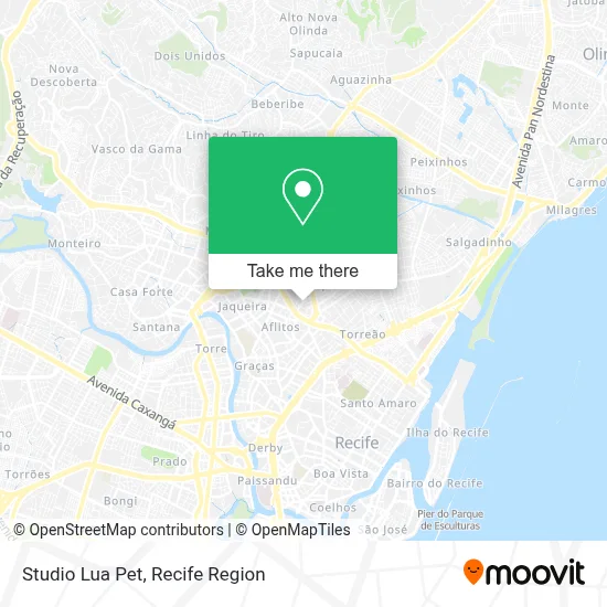 Studio Lua Pet map