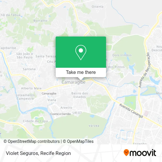Violet Seguros map