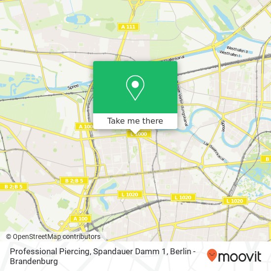 Карта Professional Piercing, Spandauer Damm 1