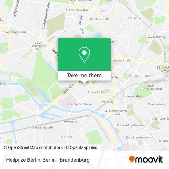 Heilpilze Berlin map