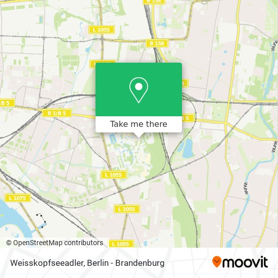 Weisskopfseeadler map