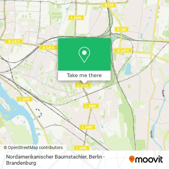 Nordamerikanischer Baumstachler map