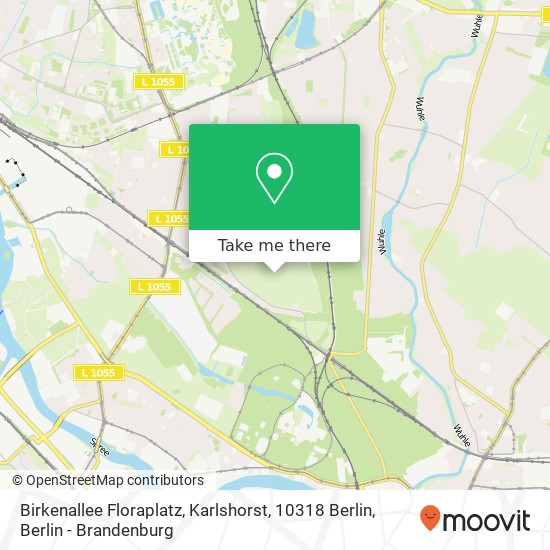 Birkenallee Floraplatz, Karlshorst, 10318 Berlin map