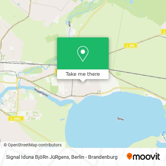 Signal Iduna BjöRn JüRgens map
