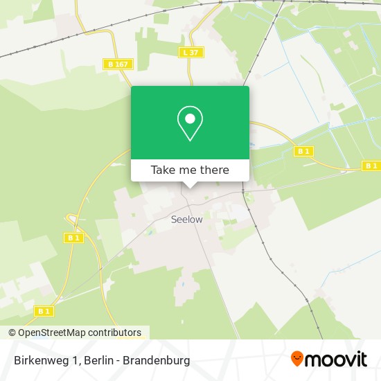 Birkenweg 1 map