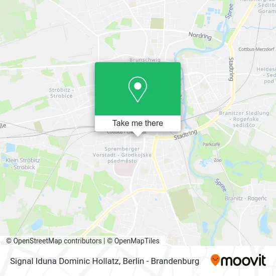 Карта Signal Iduna Dominic Hollatz