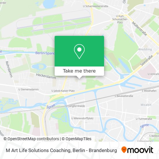 M Art Life Solutions Coaching map