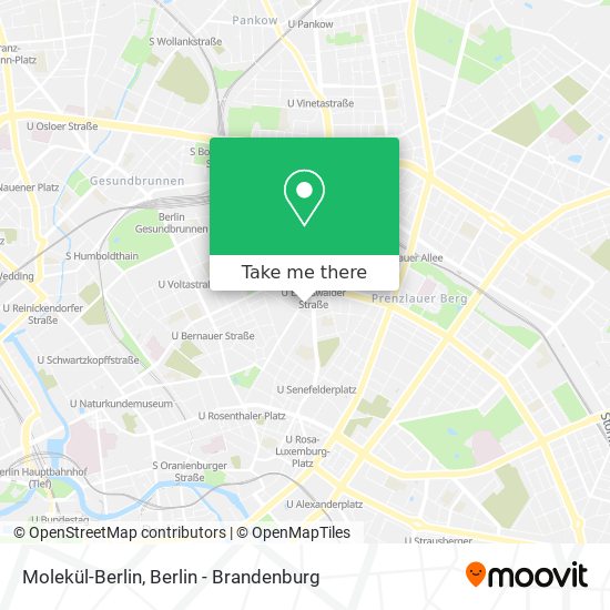 Molekül-Berlin map