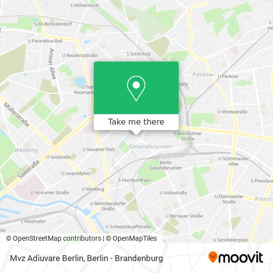 Mvz Adiuvare Berlin map