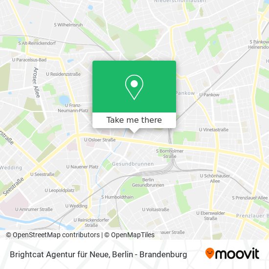 Brightcat Agentur für Neue map