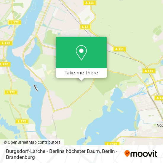 Burgsdorf-Lärche - Berlins höchster Baum map