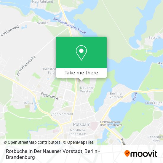 Rotbuche In Der Nauener Vorstadt map