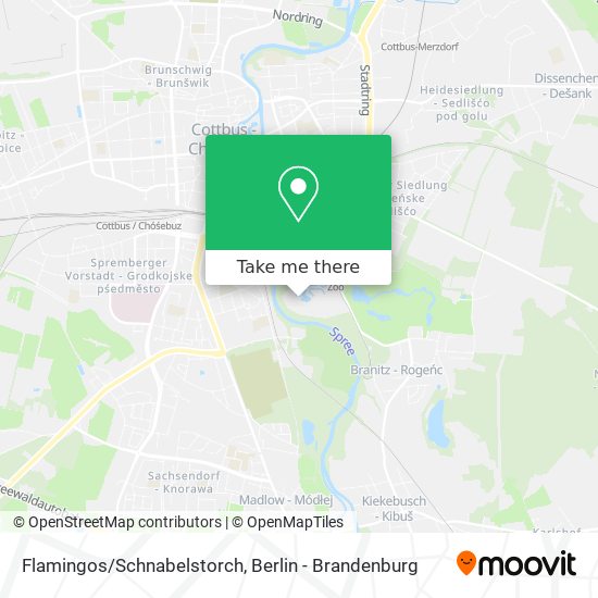 Flamingos/Schnabelstorch map