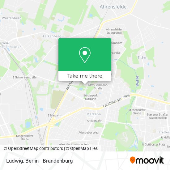 Ludwig map