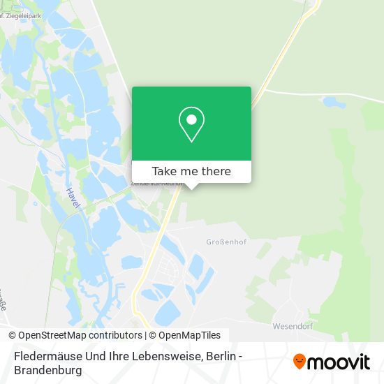 Fledermäuse Und Ihre Lebensweise map