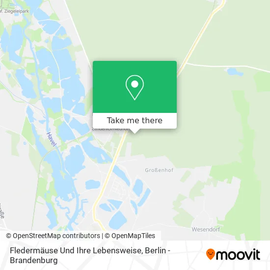 Карта Fledermäuse Und Ihre Lebensweise