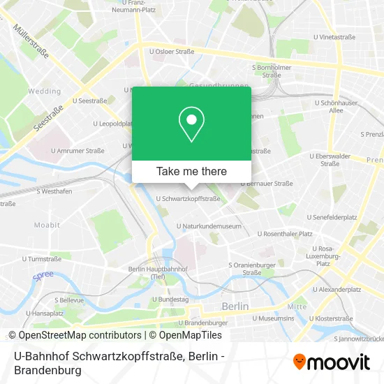 U-Bahnhof Schwartzkopffstraße map