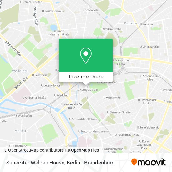 Superstar Welpen Hause map