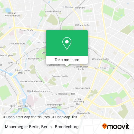 Mauersegler Berlin map
