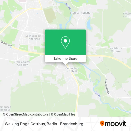 Карта Walking Dogs Cottbus