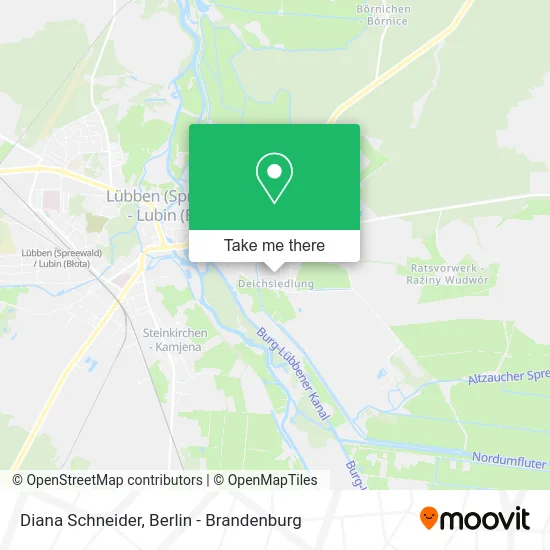 Карта Diana Schneider