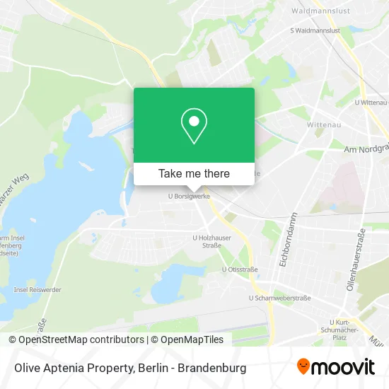 Olive Aptenia Property map