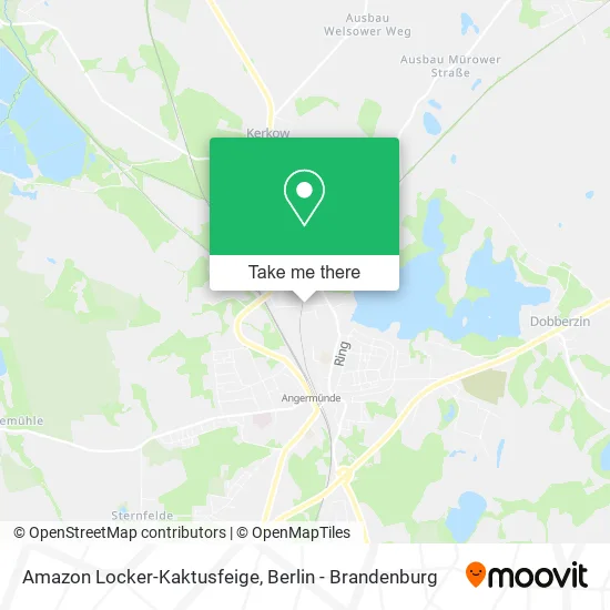 Карта Amazon Locker-Kaktusfeige