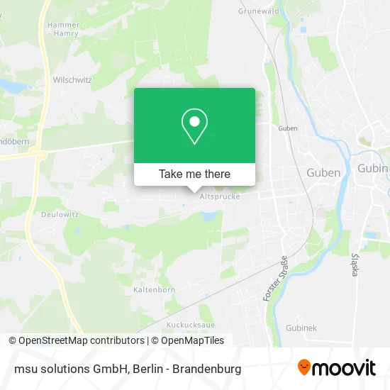 Карта msu solutions GmbH