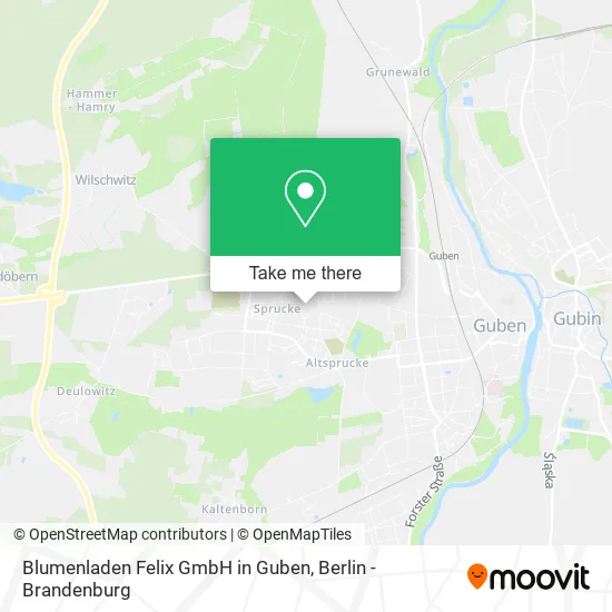 Blumenladen Felix GmbH in Guben map