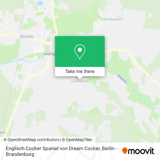 Карта Englisch Cocker Spaniel von Dream Cocker