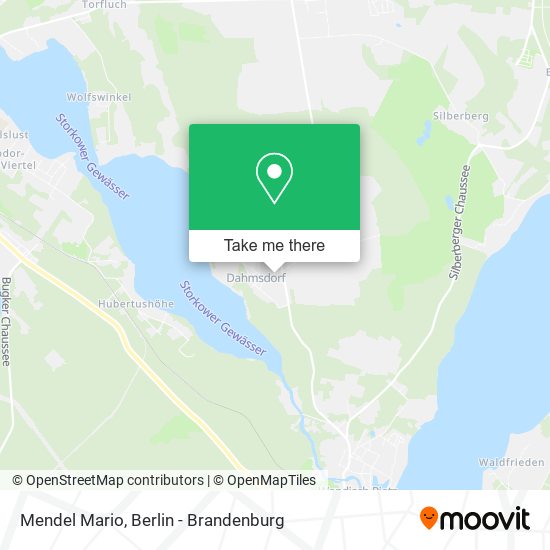 Mendel Mario map