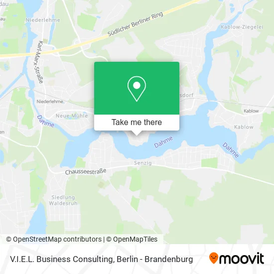 Карта V.I.E.L. Business Consulting
