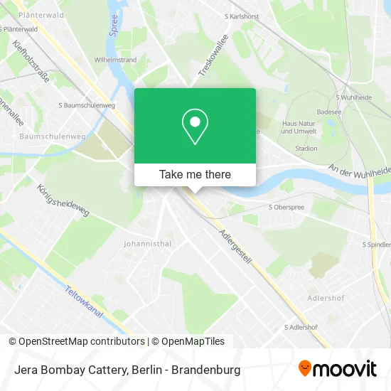 Карта Jera Bombay Cattery