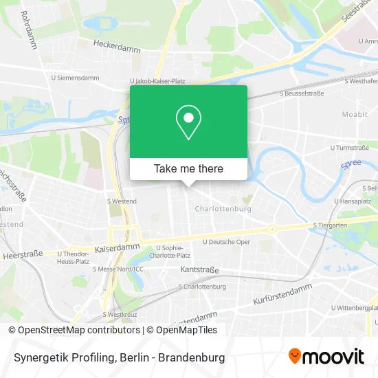 Карта Synergetik Profiling