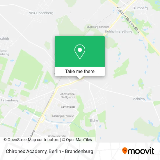 Карта Chironex Academy