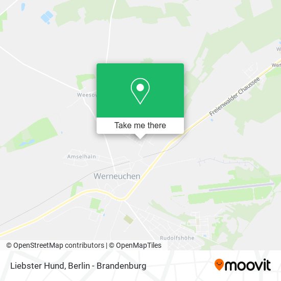 Liebster Hund map