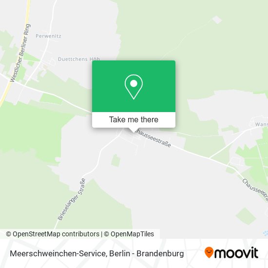 Meerschweinchen-Service map