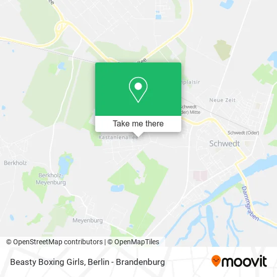 Карта Beasty Boxing Girls