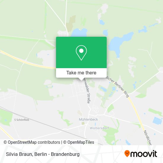 Silvia Braun map