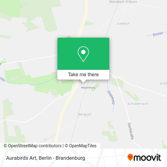 Aurabirds Art map