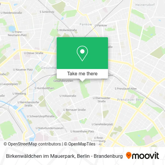 Карта Birkenwäldchen im Mauerpark
