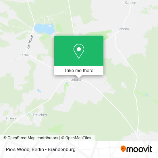 Pio's Wood map