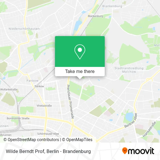 Wilde Berndt Prof map