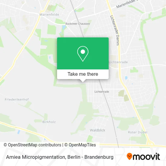 Amiea Micropigmentation map